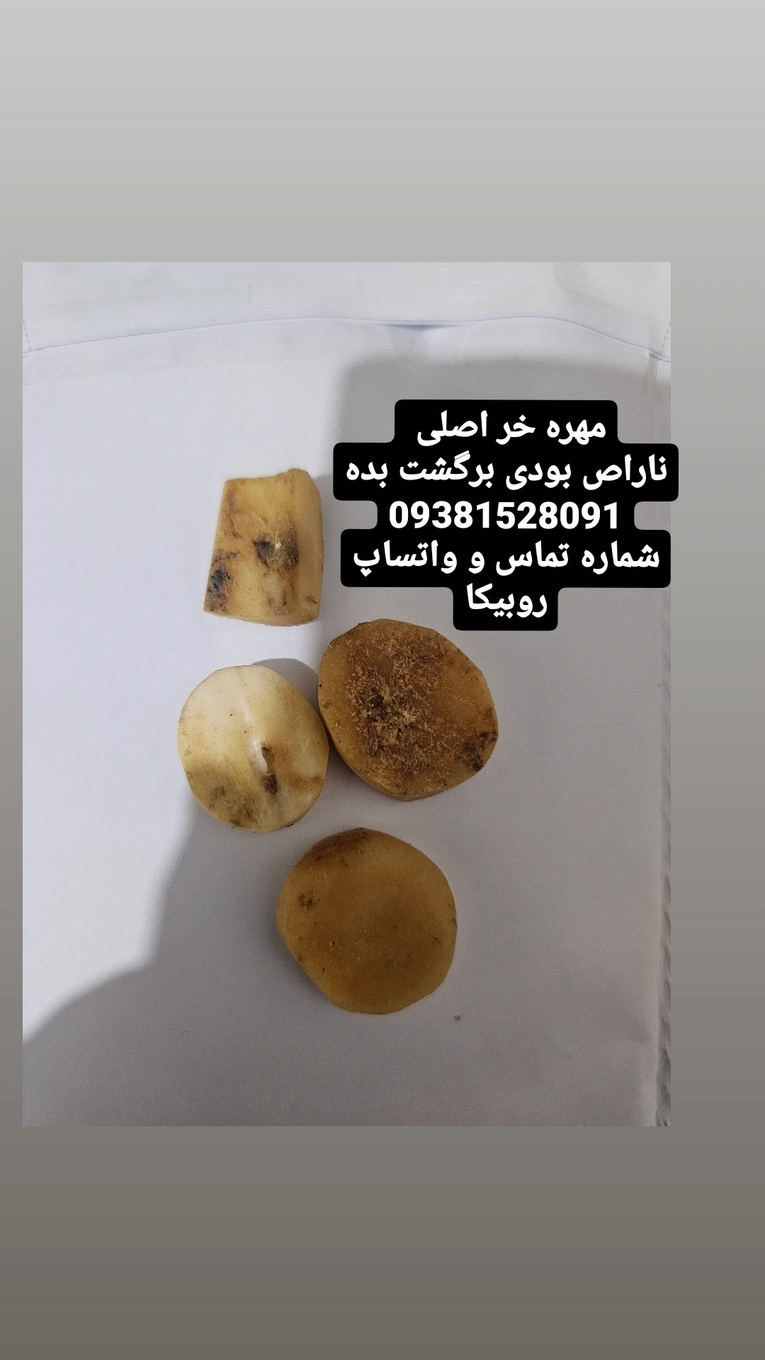 مهره خر